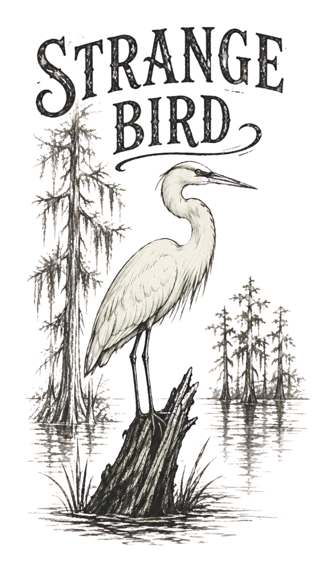 Strange Bird Women’s Graphic T-Shirt